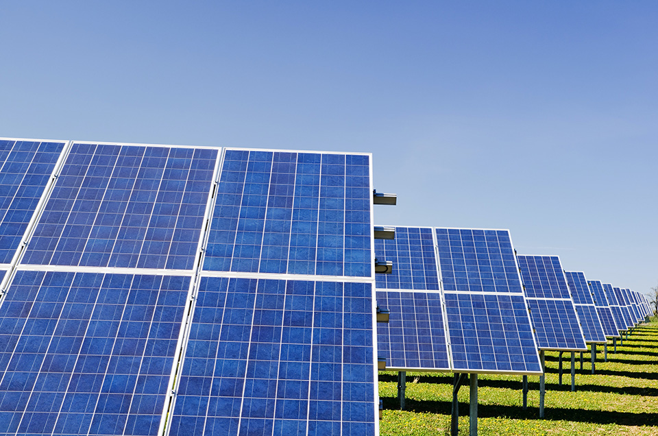 A field with solar panels